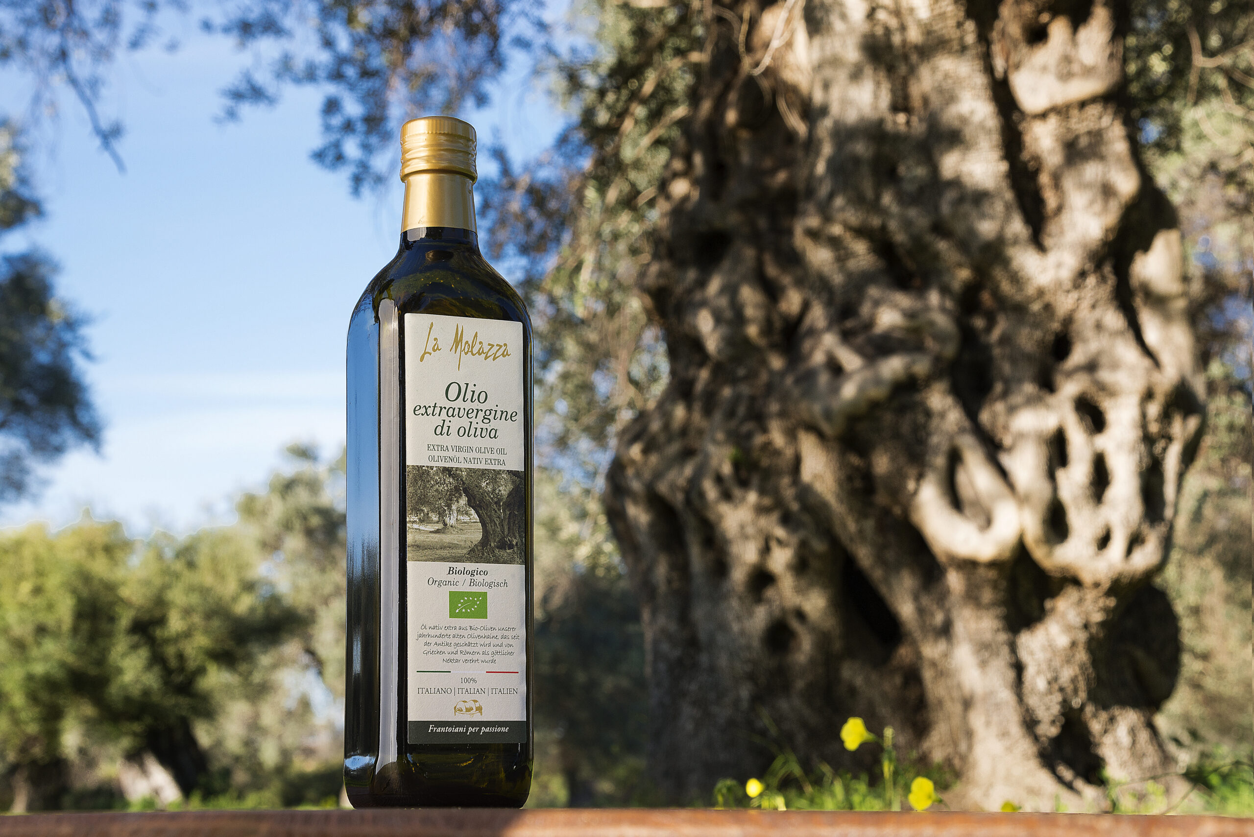 La Molazza Bio olive oil