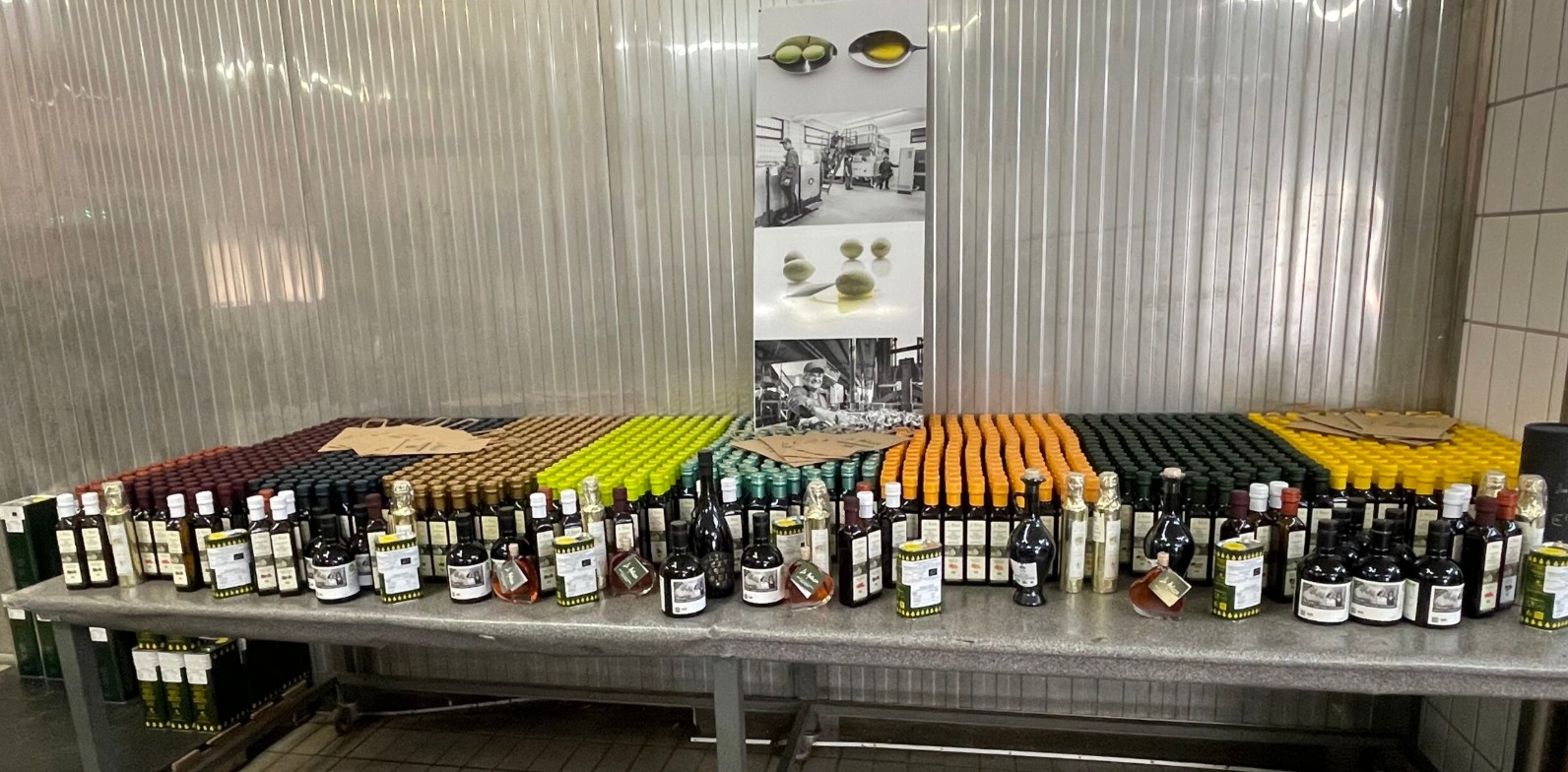 La Molazza oil selection at the frantoio